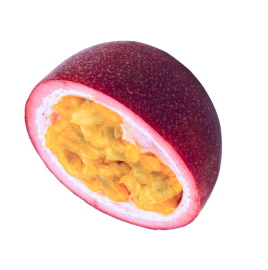 exotic-image