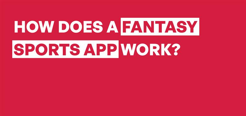 How Fantasy Sports App Work