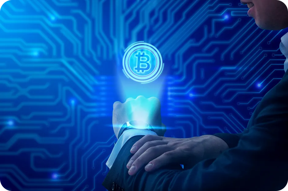 Blockchain system integration