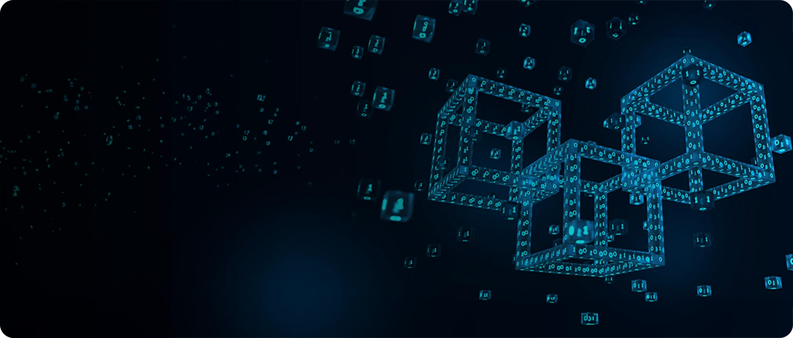 Private Permissioned Blockchain Development